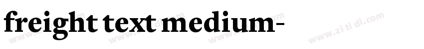 freight text medium字体转换 freight text medium字体转换